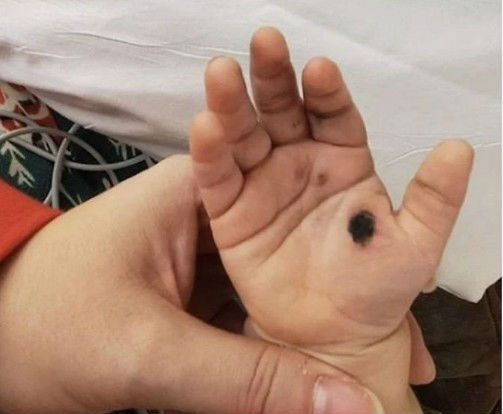 PD電源適配器 PD電源適配器